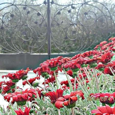 Casa Piredda Icore Iun R7749